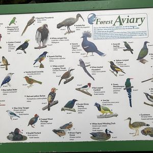 New Aviary Signage with New Species