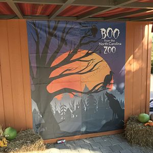 "Boo at the Zoo" photo backdrop