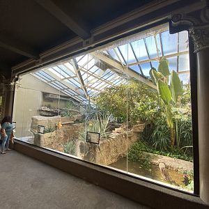 Oct. 2021 - Herpetarium - Dwarf Caiman + Shingleback Skink + Empty/Former Komodo Dragon Exhibit