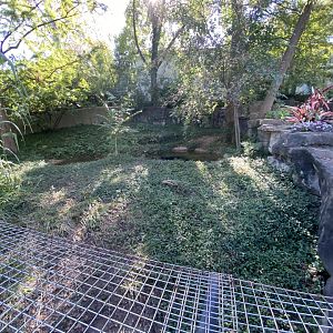 Oct. 2021 - Herpetarium - American Alligator Exhibit