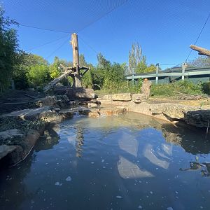 Oct. 2021 - River’s Edge - South America - Andean Bear Range