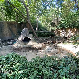 Oct. 2021 - River’s Edge - South America - Giant Anteater + Capybara Exhibits