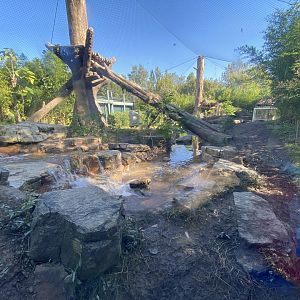 Oct. 2021 - River’s Edge - South America - Andean Bear Range