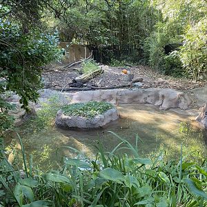 Oct. 2021 - River’s Edge - South America - Capybara Exhibit
