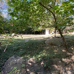 Oct. 2021 - River’s Edge - Africa - Rhino Reserve (Black Rhinos & Sacred Ibises