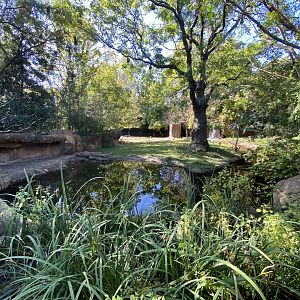 Oct. 2021 - River’s Edge - Africa - Rhino Reserve (Black Rhinos & Sacred Ibises