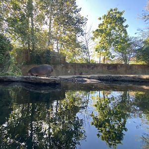 Oct. 2021 - River’s Edge - Africa - Hippo Harbor