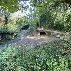 Oct. 2021 - River’s Edge - Africa - Spotted Hyena Exhibit