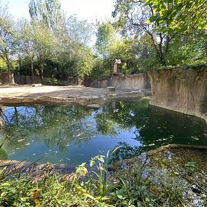 Oct. 2021 - River’s Edge - Asia - Lords of the Forest (1 of 4 Asian Elephant Exhibits)