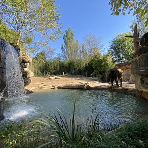 Oct. 2021 - River’s Edge - Asia - Elephant Springs (1 of 4 Asian Elephant Exhibits)