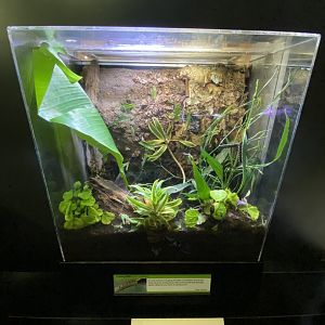 Oct. 2021 - Insectarium - Caterpillar Exhibit