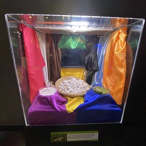Oct. 2021 - Insectarium - Silkworm Exhibit