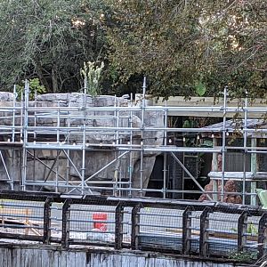 Construction in Primate World