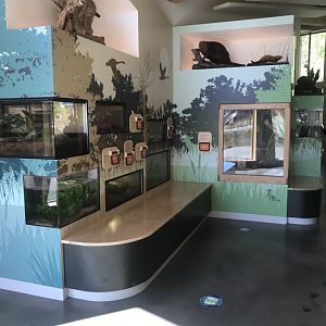 Main Room- Terrariums