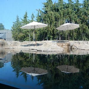 8/21/2021 - Harbor & Gray Seal Habitat