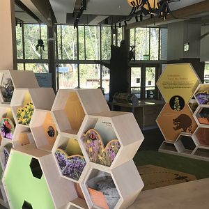 Main Room - Honeycomb Display