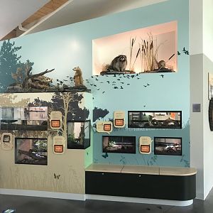 Main Room - Terrariums