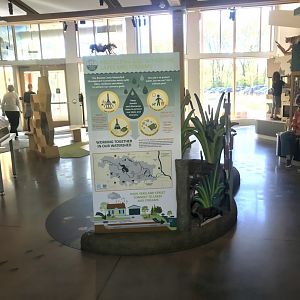 Main Room - Wetlands Display