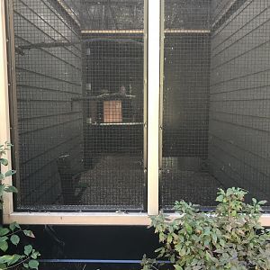 Raptor Complex - American Kestrel Exhibit