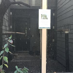 Raptor Complex - Barred Owl Exhibit