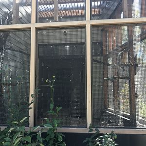 Raptor Complex - Red-Tailed Hawk Exhibit