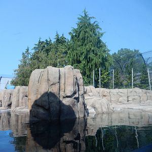 8/21/2021 - Polar Bear Habitat - Pool View