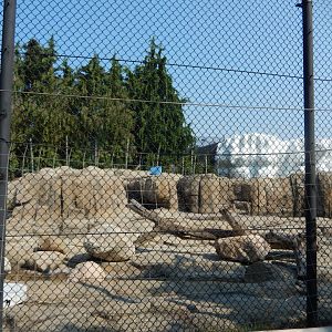 8/21/2021 - Polar Bear Habitat - Land View