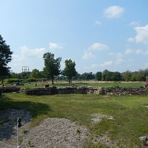 8/21/2021 - Africa! General View