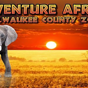 Adventure Africa | Milwaukee County Zoo (Ep. 18) (Virtual Zoo Tours)