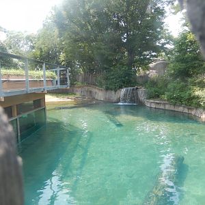 8/21/2021 - Hippoquarium - Overview