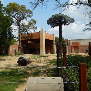 8/21/2021 - Left African Elephant Habitat