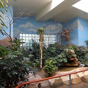 8/21/2021 - Mixed-Species Habitat