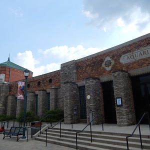 8/21/2021 - Aquarium Exterior
