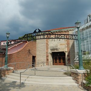 8/21/2021 - Museum of Natural History Entrance