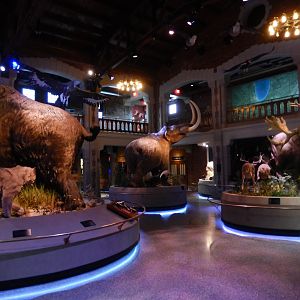 8/21/2021 - Museum Main Gallery