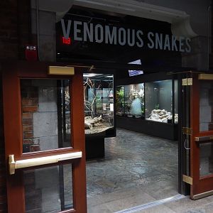 8/21/2021 - Venomous Snakes Gallery