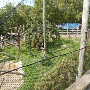 8/21/2021 - Bald Eagle Aviary