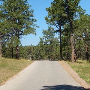 9/7/2021 - One-Way Road