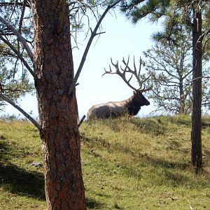 9/7/2021 - King of the Hill