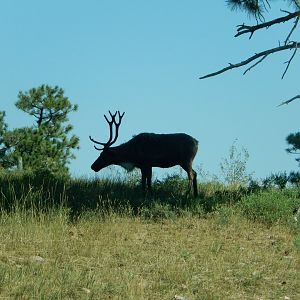 9/7/2021 - Silhouette Among the Sun