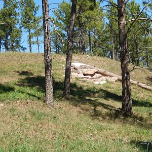 9/7/2021 - Arctic Wolf Habitat
