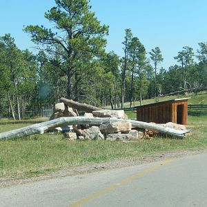9/7/2021 - Bighorn Sheep Habitat