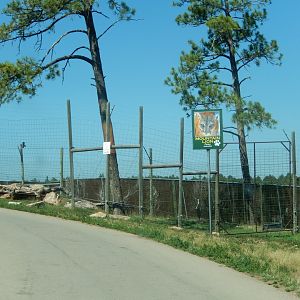 9/7/2021 - Cougar Habitat
