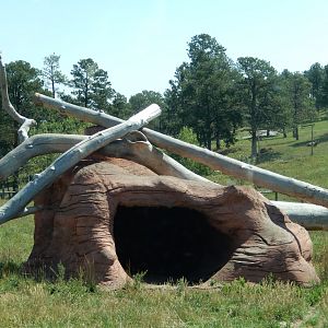 9/7/2021 - Black Bear Den