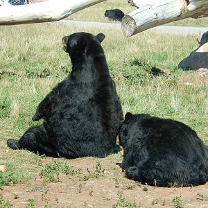 9/7/2021 - Giving the Cold Shoulder