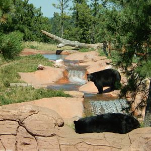 9/7/2021 - A Mid-Day Drink