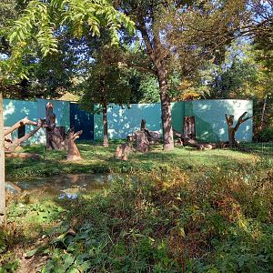 Chimp-outdoor enclosure