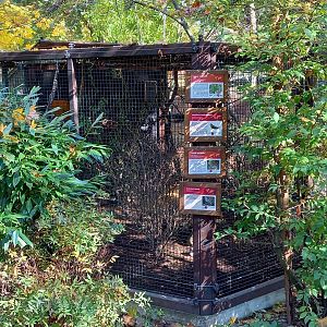 Aviary Australian bird-species