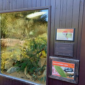Former New Guinea short-beaked echidna - now Woma python enclosure