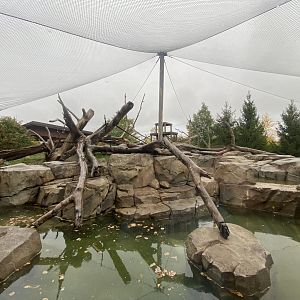 Japanese Macaque Exhibit